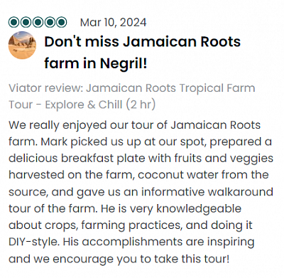 review titled 'don't miss Jamaican Roots farm in Negril' posted on Viator