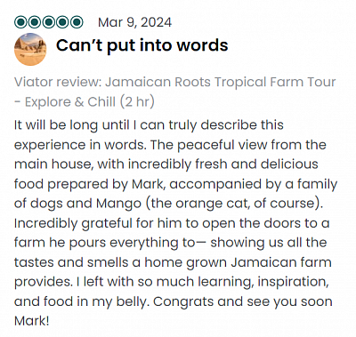 5-star review of Jamaican Roots Tropical Farm