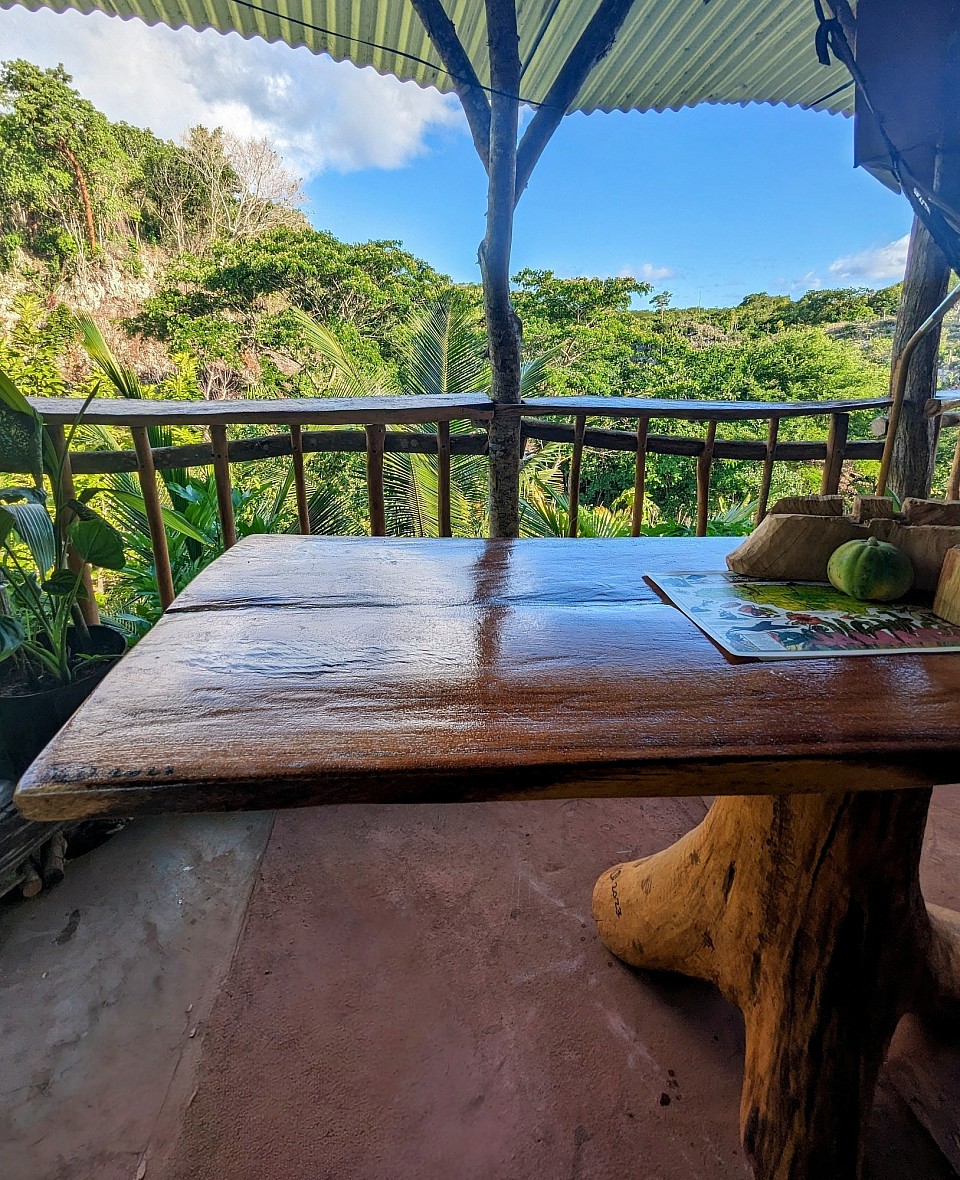 View of a handmade table with a tree stump base, overlooking the treetops on a tropical farm