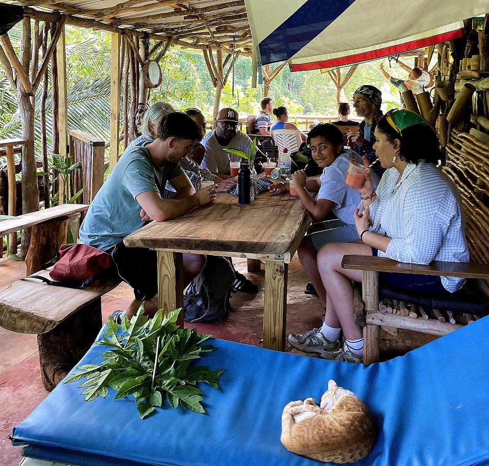 On the deck for smoothies at Jamaican Roots Tropical Farm